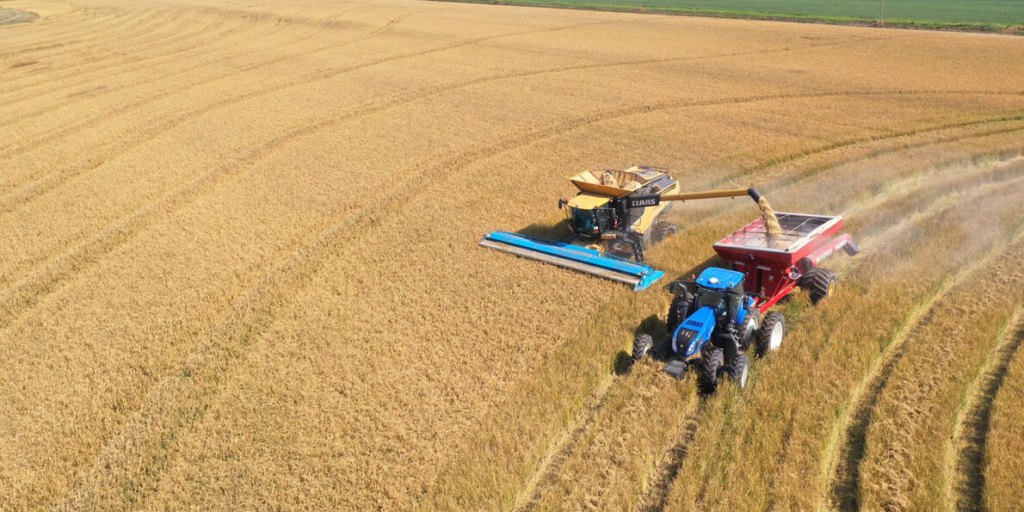 Arkansas farmers don’t have a government problem — we have a leadership&nbsp;problem