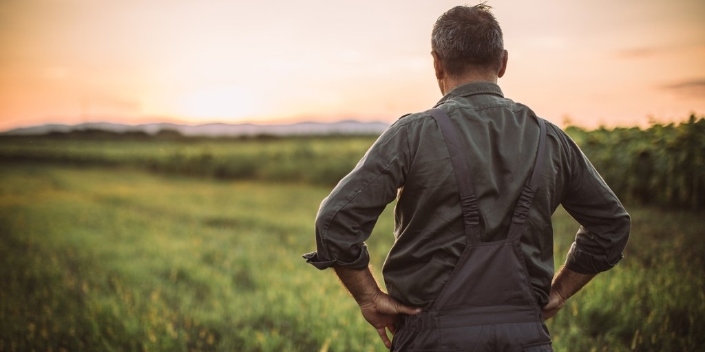 Arkansas led nation in Chapter 12 farm bankruptcy filings in&nbsp;2025