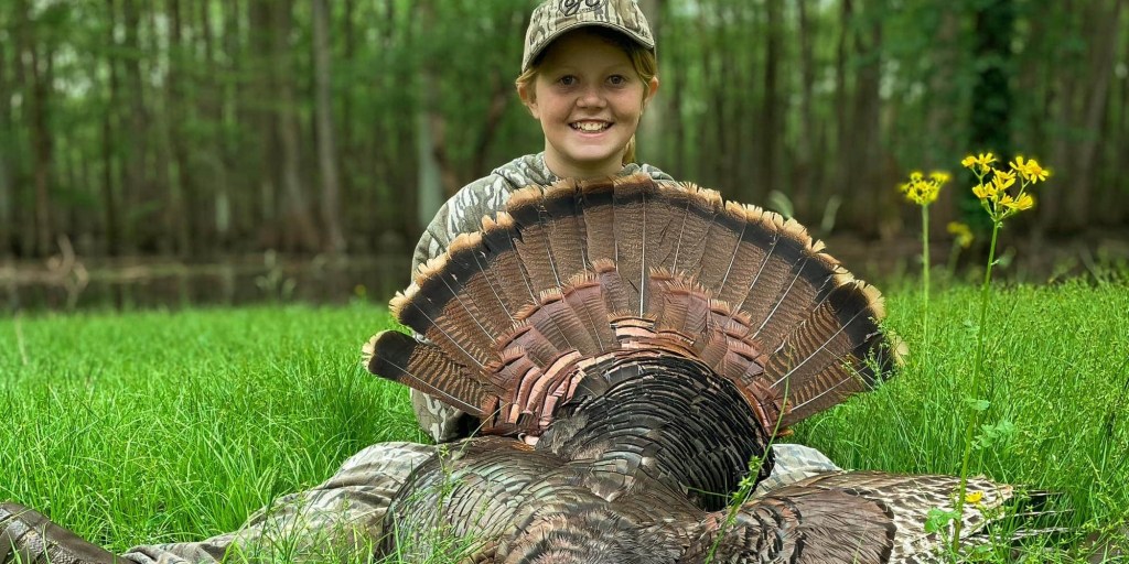 Arkansas turkey hunters post highest harvest in 20 years